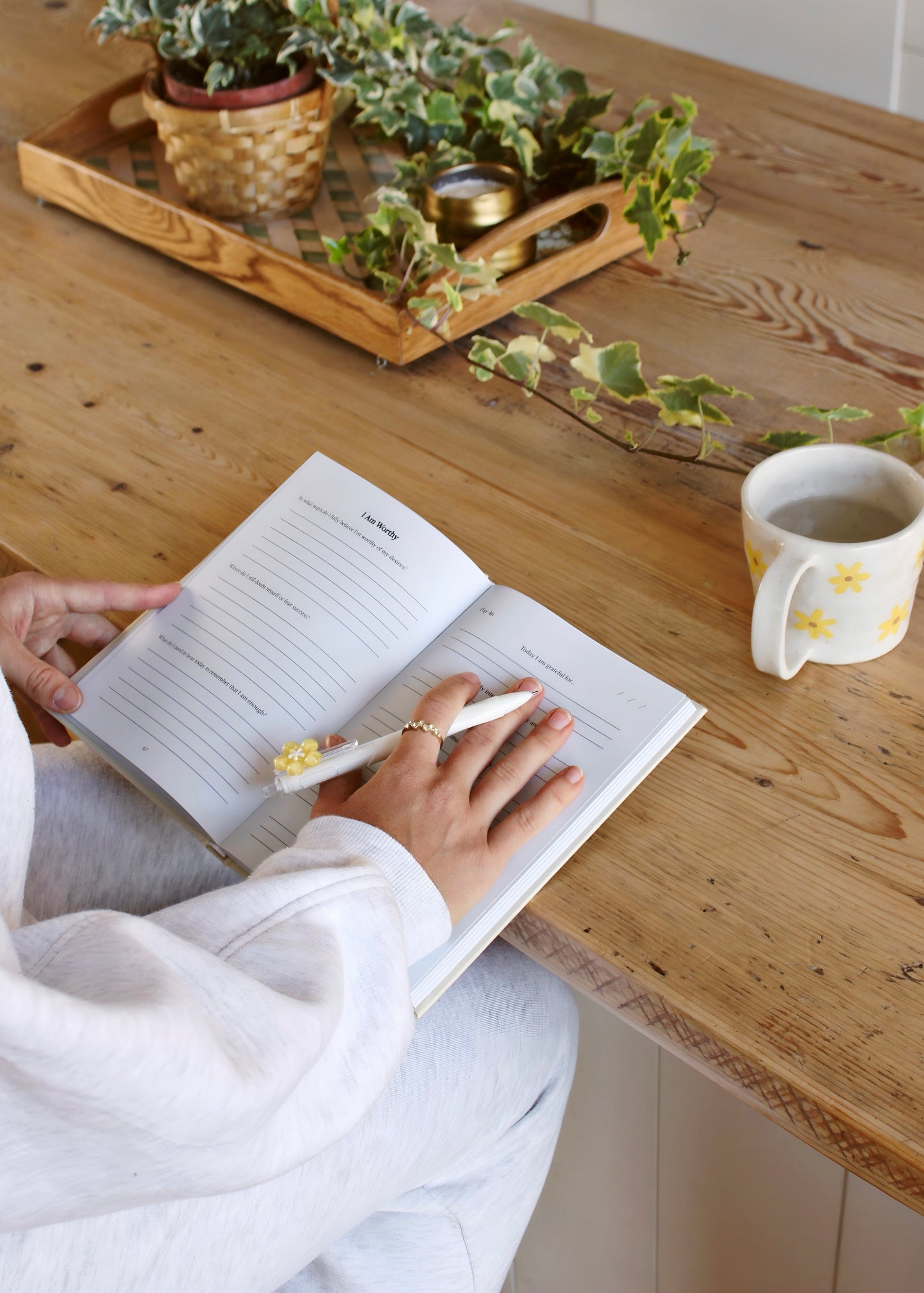 The 108 Day Journal-Manifest